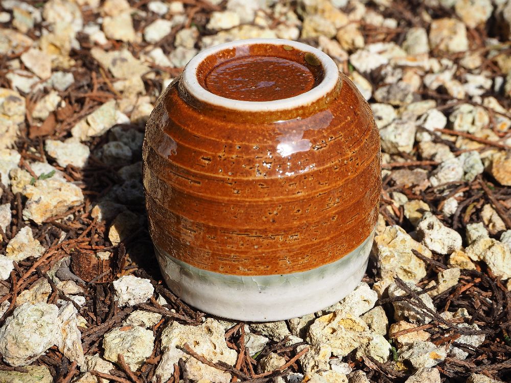 sencha csésze 11