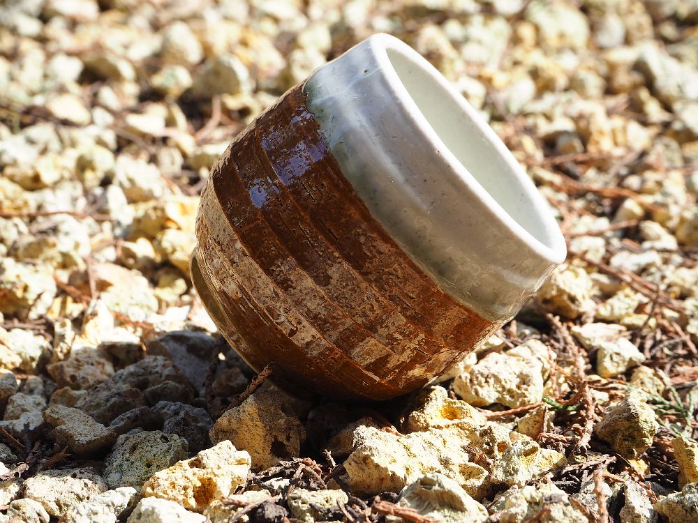 sencha csésze 18