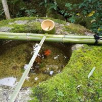 Ismerkedés a japán teákkal - Tea történelem, elmélet, gyakorlat, kóstolás - Június 21. szombat 14.00 - 17.30