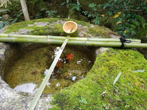 Ismerkedés a japán teákkal - Tea történelem, elmélet, gyakorlat, kóstolás - Június 21. szombat 14.00 - 17.30