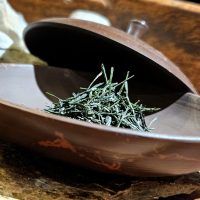 Shinya Maejima - Asahina Hon Gyokuro Saemidori, mester tea - Okabe/Fujieda 50g