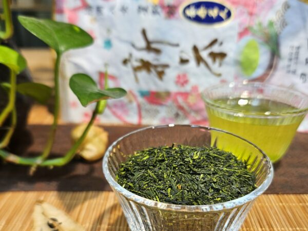 Hoshino Meijin -mester- Fukamushi Sencha | 50g Yame, Fukuoka SHINCHA 2025!