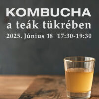 Kombucha a teák tükrében | Június 18. - Szerda