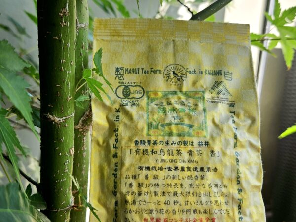 Kawane Kōshun Aocha, japán oolong - organikus tea - Masui-kert 25g, SHINCHA 2025
