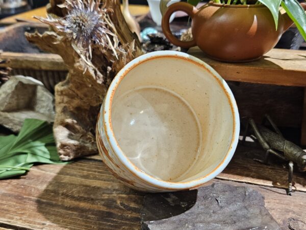 Vörös Bambusz, mázas Minoyaki chawan, Mino kerámia, Japán - Image 6