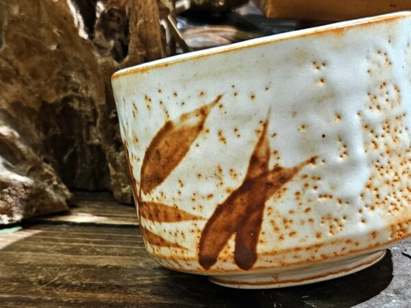 Vörös Bambusz, mázas Minoyaki chawan, Mino kerámia, Japán - Image 2