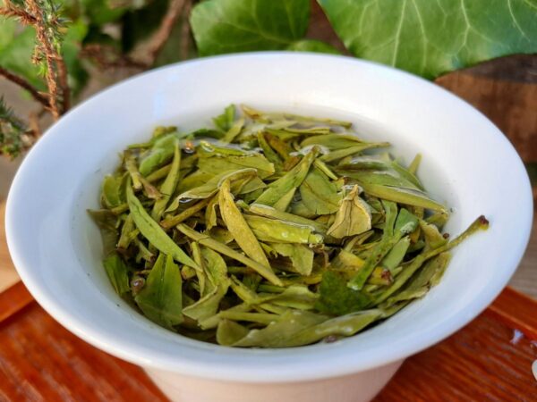 QingMing Longjing | Levelek Hangzhouból - 2025 - Image 6