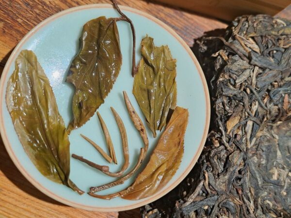 Chi'ai - Long Run Sheng Puer, 2023., tajvani érlelés - Image 2