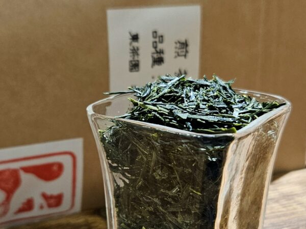 Zairai Sencha, Wazuka, Kyoto. Organikus Uji farmtea, - lágy, egészen selymes karakterű tea - 2025