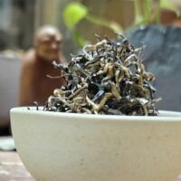 Jin Mao Hou, Aranyszőrű majom 2025, Fujian aranyrügyes vörös tea