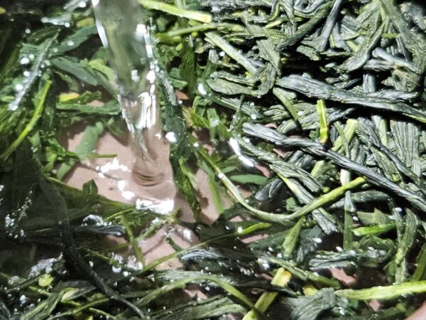 Okuyutaka sencha - Wazuka, Organikus Uji farmtea 2025, a sűrű umami bomba - Image 7