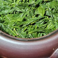 Okuyutaka sencha - Wazuka, Organikus Uji farmtea 2025, a sűrű umami bomba