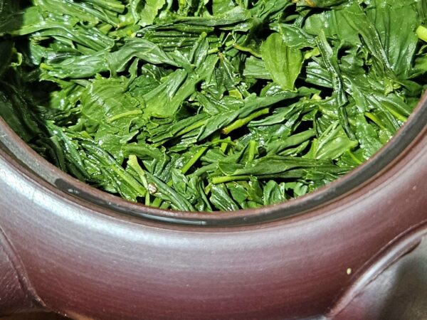 Okuyutaka sencha - Wazuka, Organikus Uji farmtea 2025, a sűrű umami bomba