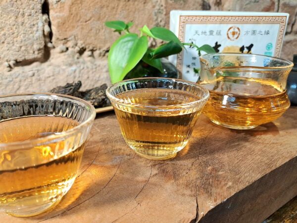 A tigris mosolya - 2010 Sheng Puer | tajvani érlelés - Image 2