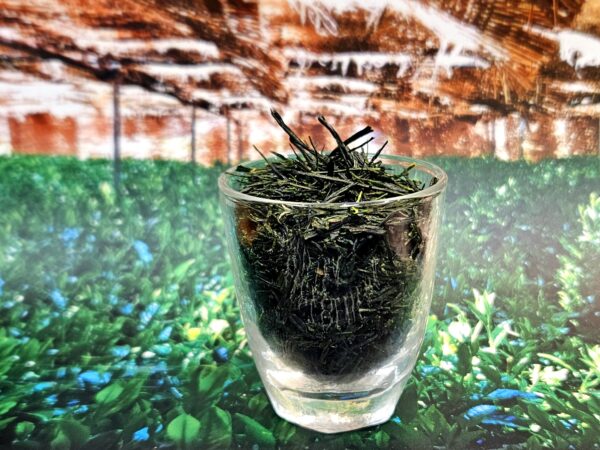 Asahina gyokuro mesterek - válogatás - hagyományos, hon gyokuro 5x10g - Image 7