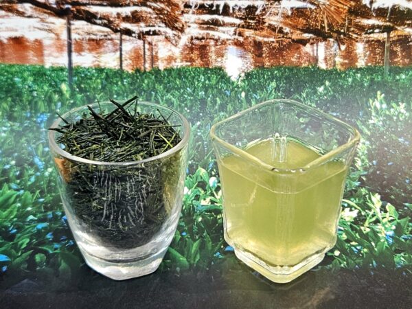 Asahina gyokuro mesterek - válogatás - hagyományos, hon gyokuro 5x10g