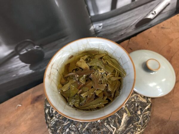 A Határvidék hegyei - Mianmar gushu sheng puer, szantál aroma - 2025 - Image 7
