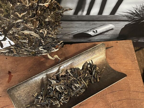 A Határvidék hegyei - Mianmar gushu sheng puer, szantál aroma - 2025 - Image 3