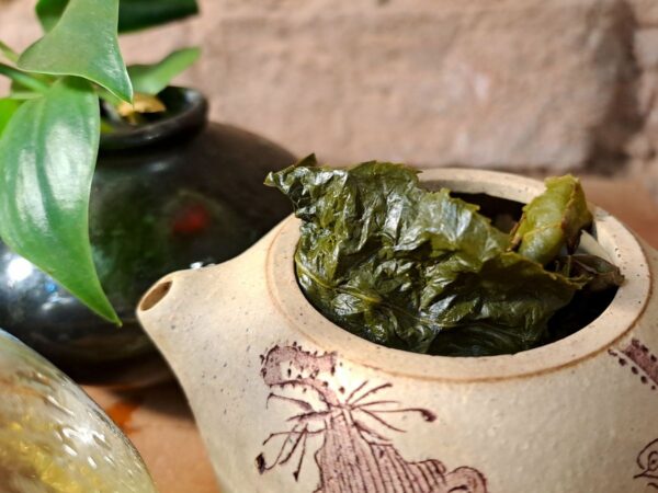 Wenshan Baozhong 2025 | Könnyű, citrusos, virágos aromájú oolong - Image 5