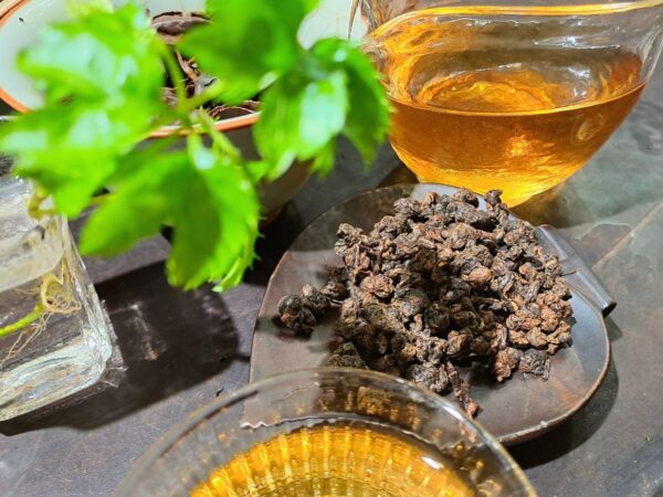 Alishan Gaba Chin Shin 2025 | sütőtökös, illatos gaba oolong