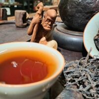 Ősi teafa Yaoshan Liubao Heicha 2007 | erdei gomba aromájú öreg tea