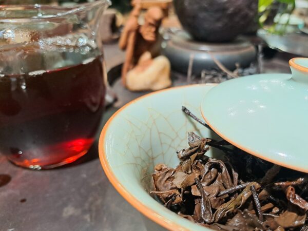 Ősi teafa Yaoshan Liubao Heicha 2007 | erdei gomba aromájú öreg tea - Image 5