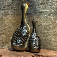 Forró víz hatására színváltoztató, kedves vadludak