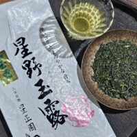 Hoshino Gyokuro Takagi - Fukuoka, Yame 2025