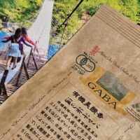 Kawane Hikari Gaba Aocha- organikus japán zöld oolong tea 35g